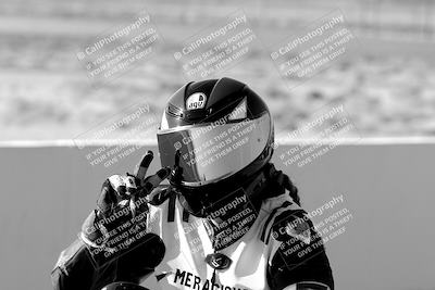 media/Mar-24-2023-Apex Assassins (Fri) [[54485cb5ff]]/Around the Pits/